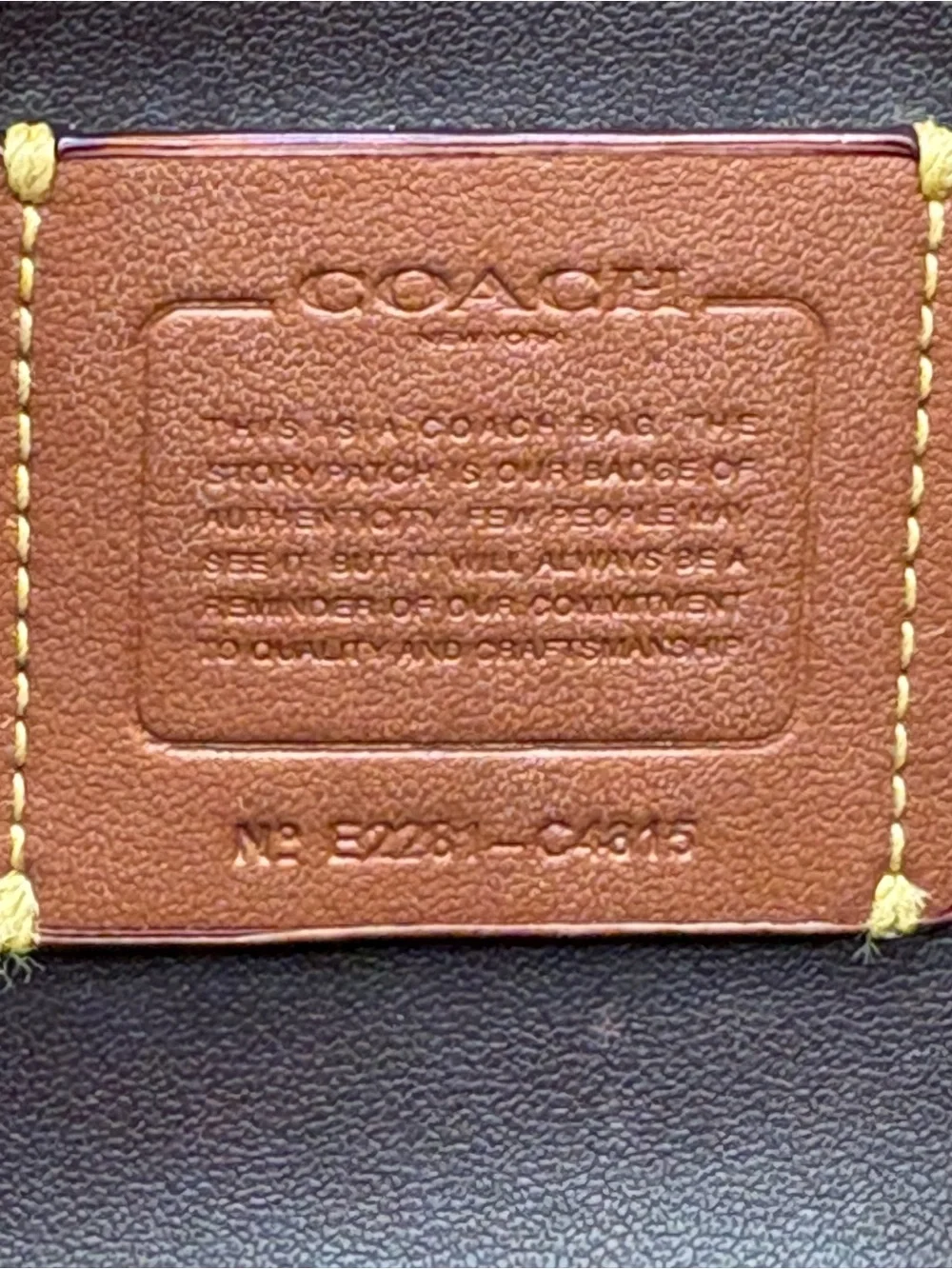 Coach Hayden Crossbody Black Pebbled Leather C4815